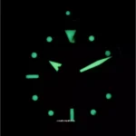 Orient RA-AA0810N19B luminous hands and markers in low light